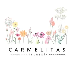 Las Carmelitas